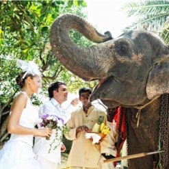 Свадьба на Шри- Ланке
